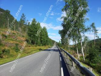 Road, Natural landscape, Highway, Thoroughfare, Tree, Asphalt, Sky, Road surface, Infrastructure, Biome 
