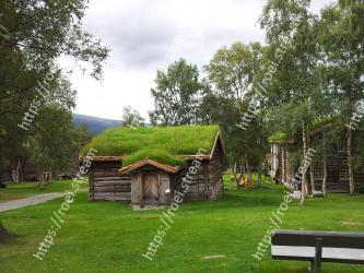 Tree, House, Grass, Property, Nature reserve, Cottage, Botany, Rural area, Home, Grass family 