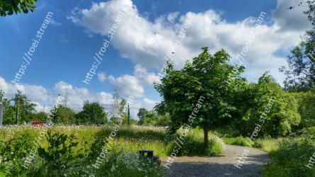 Natural landscape, Sky, Cloud, Nature, Vegetation, Tree, Cumulus, Green, Daytime, Nature reserve 