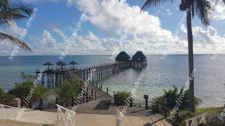 Sky, Sea, Beach, Ocean, Shore, Tropics, Vacation, Coast, Bay, Tree 