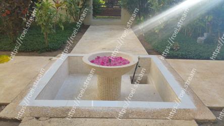 Floor, Grass, Landscape, Flooring, Table, Plant, Concrete, Walkway, Tile, Landscaping 