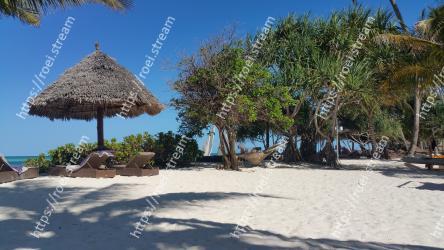 Tree, Beach, Vacation, Tropics, Sky, Sea, Resort, Tourism, Caribbean, Hut 