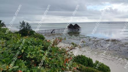 Shore, Coast, Sea, Cloud, House, Tree, Ocean, Bay, Beach, Landscape 