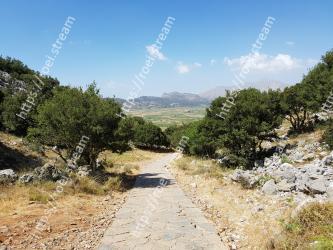Vegetation, Mountain, Sky, Mountainous landforms, Wilderness, Trail, Road, Tree, Dirt road, Plant community 