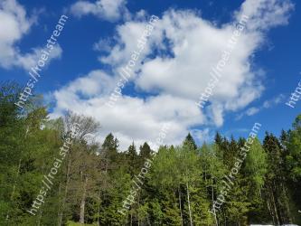 Sky, Natural landscape, Tree, Cloud, Nature, Vegetation, Daytime, Natural environment, Tropical and subtropical coniferous forests, Nature reserve 