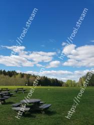 Blue, Reflection, Sky, Green, Daytime, Water, Tree, Atmosphere, Formation, Cloud 