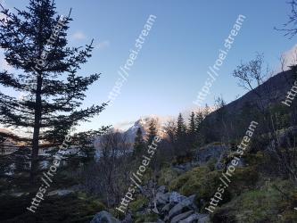 Mountainous landforms, Tree, Mountain, Sky, Larix lyalliiSubalpine Larch, Wilderness, Nature, Natural landscape, Natural environment, Biome 