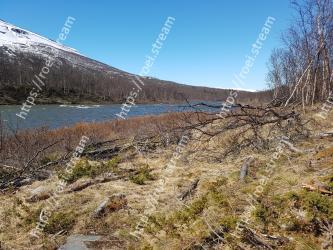 Natural landscape, Wilderness, Water, Tree, Natural environment, Mountain, Sky, Reservoir, Grass, Highland 
