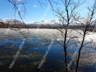 Water, Nature, Tree, Natural landscape, Sky, Branch, Reflection, Lake, Water resources, Wilderness 
