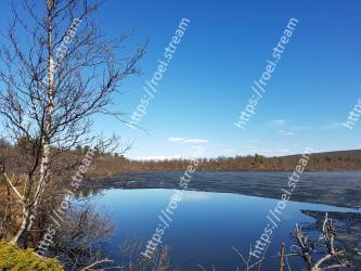 Natural landscape, Body of water, Nature, Water, Sky, Water resources, Natural environment, Tree, Reflection, Nature reserve 