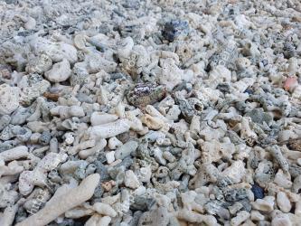 Rock, Gravel, Soil, Rubble, Geology, Sand 