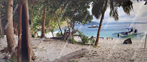 Beach, Tree, Shore, Vacation, Water, Sand, Coast, Tropics, Sea, Ocean 