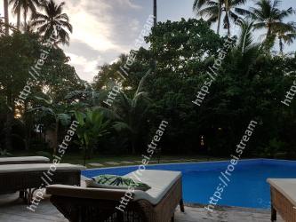 Property, Resort, Tree, Sky, Palm tree, Swimming pool, Leisure, Real estate, House, Arecales 