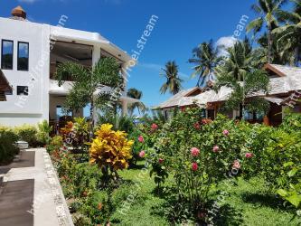Vegetation, Property, Home, House, Real estate, Tropics, Resort, Botany, Palm tree, Building 
