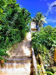 Vegetation, Sky, Tree, Botany, Walkway, Plant, Tropics, Garden, Tourism, Jungle 