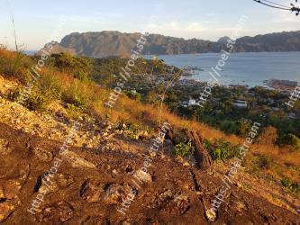 Vegetation, Coast, Sky, Natural environment, Shore, Wilderness, Rock, Tree, Sea, Headland 