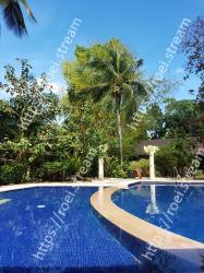 Blue, Reflection, Sky, Tree, Majorelle blue, Water, Plant, Architecture, Palm tree, Arecales 