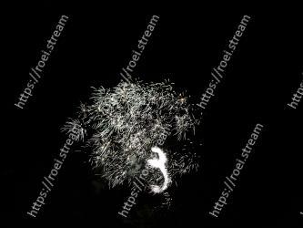 Black, Fireworks, Darkness, Black-and-white, Monochrome photography, Night, Midnight, F�te, Sky, Event 