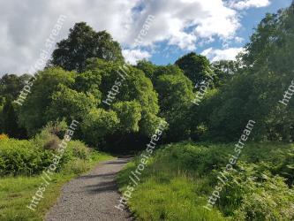 Vegetation, Natural landscape, Nature, Tree, Green, Nature reserve, Natural environment, Sky, Grass, Wilderness 