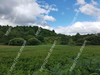 Natural landscape, Grassland, Vegetation, Nature, Green, Pasture, Natural environment, Sky, Grass, Meadow 