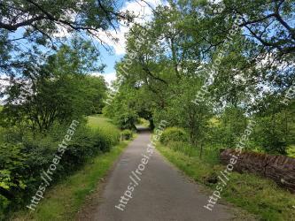 Natural landscape, Tree, Vegetation, Nature, Nature reserve, Trail, Road, Natural environment, Thoroughfare, Lane 