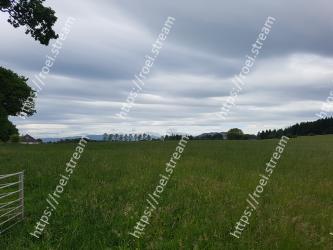 Grassland, Pasture, Sky, Natural landscape, Green, Meadow, Natural environment, Cloud, Grass, Land lot 
