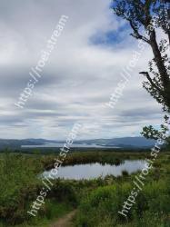 Water, Nature, Water resources, Blue, Tree, Sky, Green, Vegetation, Daytime, Waterfall 