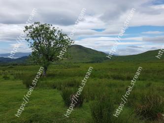 Grassland, Mountainous landforms, Natural landscape, Highland, Hill, Natural environment, Nature, Vegetation, Pasture, Wilderness 