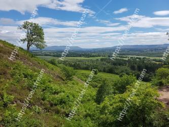 Vegetation, Natural landscape, Nature, Sky, Nature reserve, Natural environment, Green, Wilderness, Highland, Hill 
