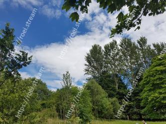 Tree, Natural landscape, Sky, Vegetation, Nature, Cloud, Nature reserve, Daytime, Green, Natural environment 