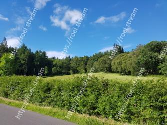 Natural landscape, Sky, Nature, Vegetation, Tree, Grassland, Natural environment, Green, Land lot, Pasture 