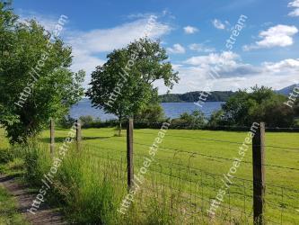 Natural landscape, Pasture, Nature, Land lot, Sky, Grass, Green, Grassland, Tree, Meadow 