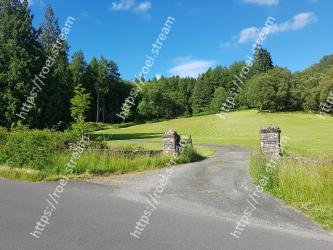 Natural landscape, Nature, Road, Natural environment, Grass, Tree, Sky, Meadow, Pasture, Grassland 