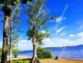 Tree, Nature, Sky, Natural landscape, Blue, Shore, Woody plant, Sea, Plant, Nature reserve 