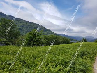Highland, Vegetation, Natural landscape, Nature, Hill station, Green, Mountainous landforms, Hill, Sky, Plantation 