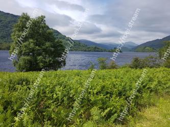 Highland, Nature, Vegetation, Natural landscape, Lake, Hill station, Green, Wilderness, Reservoir, Lake district 