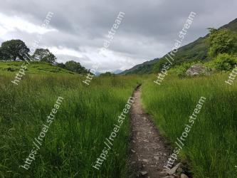 Natural landscape, Nature, Green, Vegetation, Grass, Grassland, Natural environment, Sky, Wilderness, Hill 