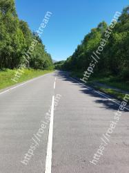Green, Blue, Sky, Vegetation, Water, Daytime, Line, Wall, Light, Tree 
