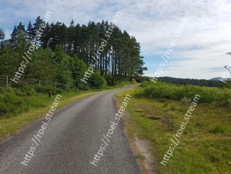 Road, Natural landscape, Tree, Natural environment, Sky, Wilderness, Dirt road, Thoroughfare, Highland, Grass 