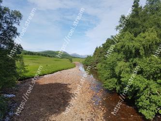 Trail, Natural landscape, Dirt road, Road, Tree, Natural environment, Lane, Nature reserve, Wilderness, Sky 