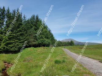 Natural landscape, Nature, Tree, Natural environment, Wilderness, Highland, Grassland, Mountainous landforms, Vegetation, Road 