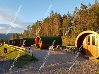 Natural environment, Tree, Transport, Sky, Tire, Infrastructure, Leaf, Landscape, Rural area, Road 