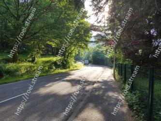 Natural landscape, Nature, Tree, Road, Sky, Lane, Asphalt, Natural environment, Vegetation, Light 