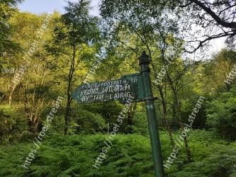 Natural landscape, Nature reserve, Nature, Tree, Vegetation, Green, Natural environment, Forest, Leaf, Grass 