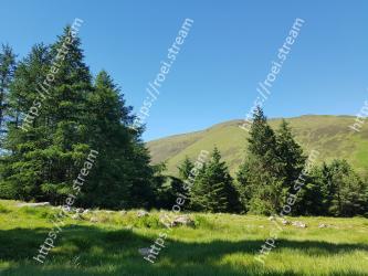 Natural landscape, Tree, Mountainous landforms, Nature, Natural environment, Wilderness, Mountain, Sky, Meadow, Grassland 