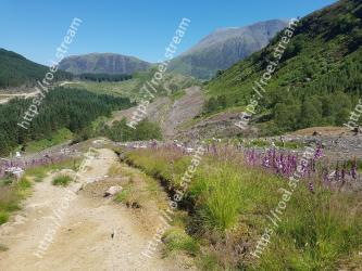 Mountainous landforms, Mountain, Vegetation, Wilderness, Trail, Highland, Wildflower, Grass, Dirt road, Hill 