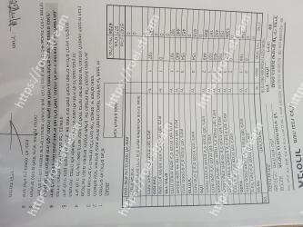 Text, Font, Document, Paper 