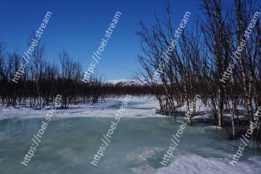 Winter, Snow, Nature, Natural landscape, Tree, Sky, Freezing, Water, Ice, River 