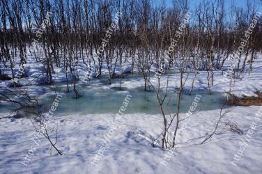 Winter, Snow, Tree, Freezing, Natural landscape, Natural environment, Water, Branch, Ice, Sky 