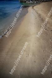 Water, Sky, Asphalt, Shore, Sea, Water resources, Sand, Road surface, Road, Tree 
